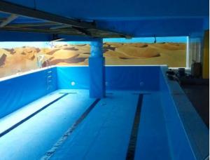 2017年4月烏魯木齊健身會所工程項目